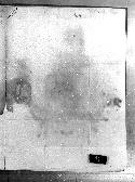 scansione del documento 00000216.Jpg