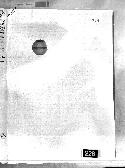 scansione del documento 00000654.Jpg