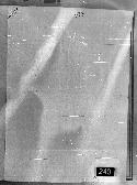 scansione del documento 00000678.Jpg