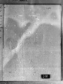 scansione del documento 00000690.Jpg