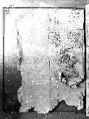 scansione del documento 00000116.Jpg