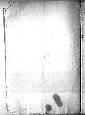 scansione del documento 00000493.Jpg